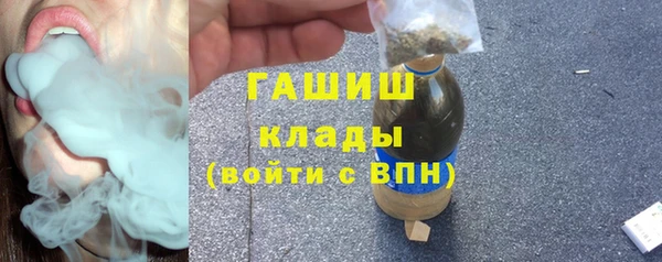 гидра Магас