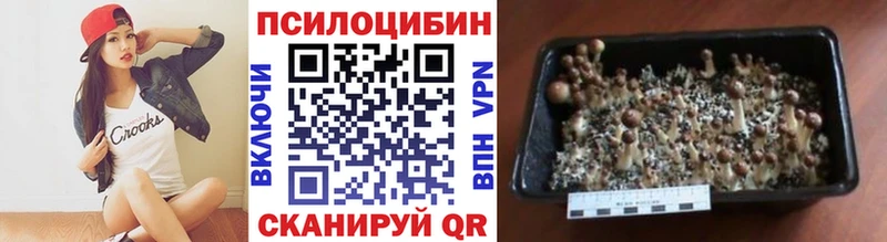 Псилоцибиновые грибы GOLDEN TEACHER  Купить  Петухово 